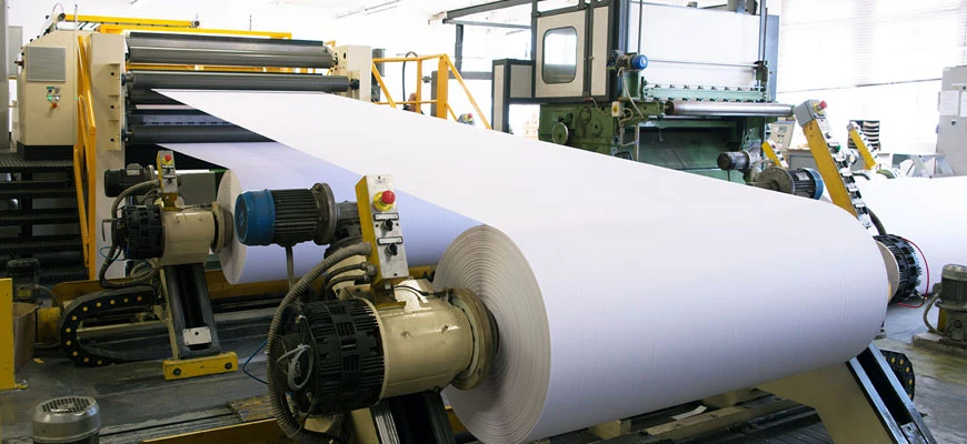 Stainless Steel 317L Strips used in Pulp and Paper